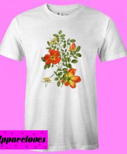 Austrian Briar Rose shirt