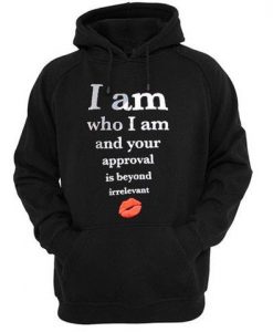 approval is beyond irrelevant hoodie ay