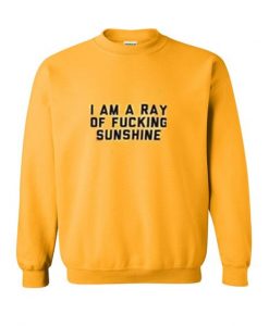 I am a ray of fucking sunshine sweatshirt ZNF08
