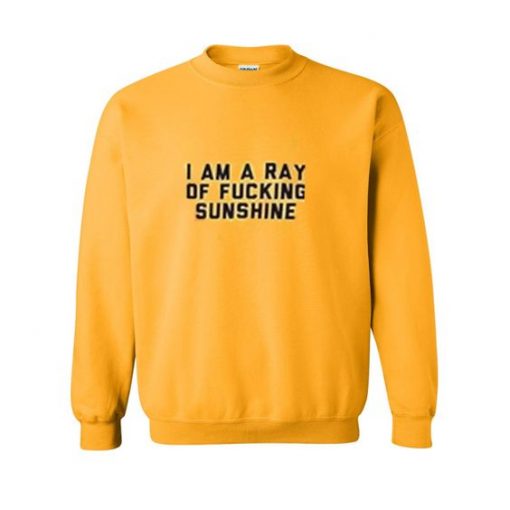 I am a ray of fucking sunshine sweatshirt ZNF08