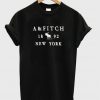 Abercrombie & Fitch New York Tshirt