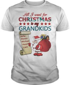 All I Want For Christmas Is My Grandkids Shirt