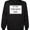 CHICAGO Bulls 1966 Hoodie