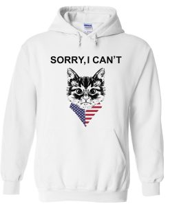 sorry i can’t hoodie
