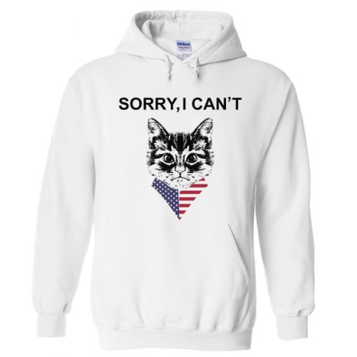 sorry i can’t hoodie