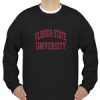 florida state university sweatshirt THD