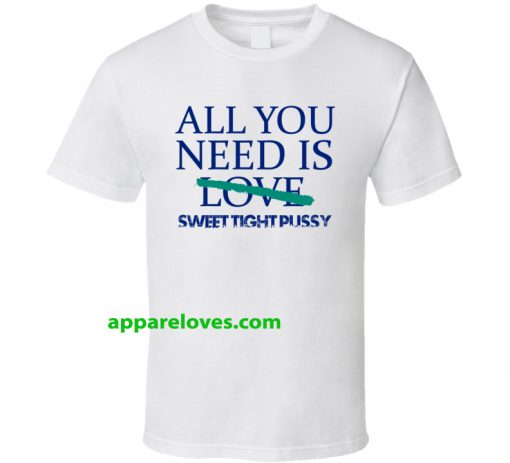 All You Need Is Sweet Tight Pussy T Shirt THD