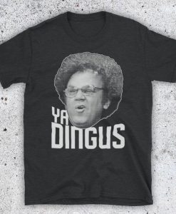 Dr Steve Brule Ya Dingus John C Reilly Comedy Check It Out Brule's Rules Unofficial T-Shirt