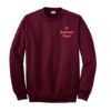 Avenue Park sweatshirt ZNF08