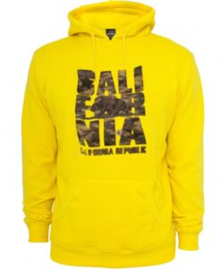 California Republic sweatshirt