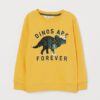 DINOS ARE FOREVER SWEATSHIRT ZNF08