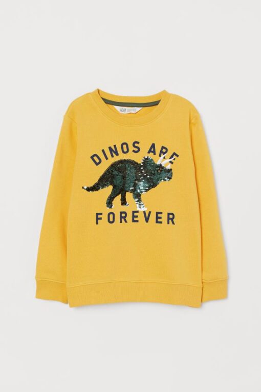 DINOS ARE FOREVER SWEATSHIRT ZNF08