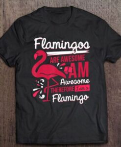 Flamingos Are Awesome I Am Awesome T Shirt