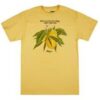 LRG Lemon Kush Graphic T Shirt