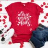 Love Never Fails TSHIRT ZNF08