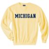 Michigan sweatshirt