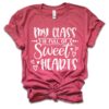 My Class is Full Of Sweet Hearts TSHIRT ZNF08