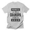 Promoted to Grandpa Est. 2020 TSHIRT ZNF08